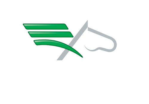 Arcigay Ravenna